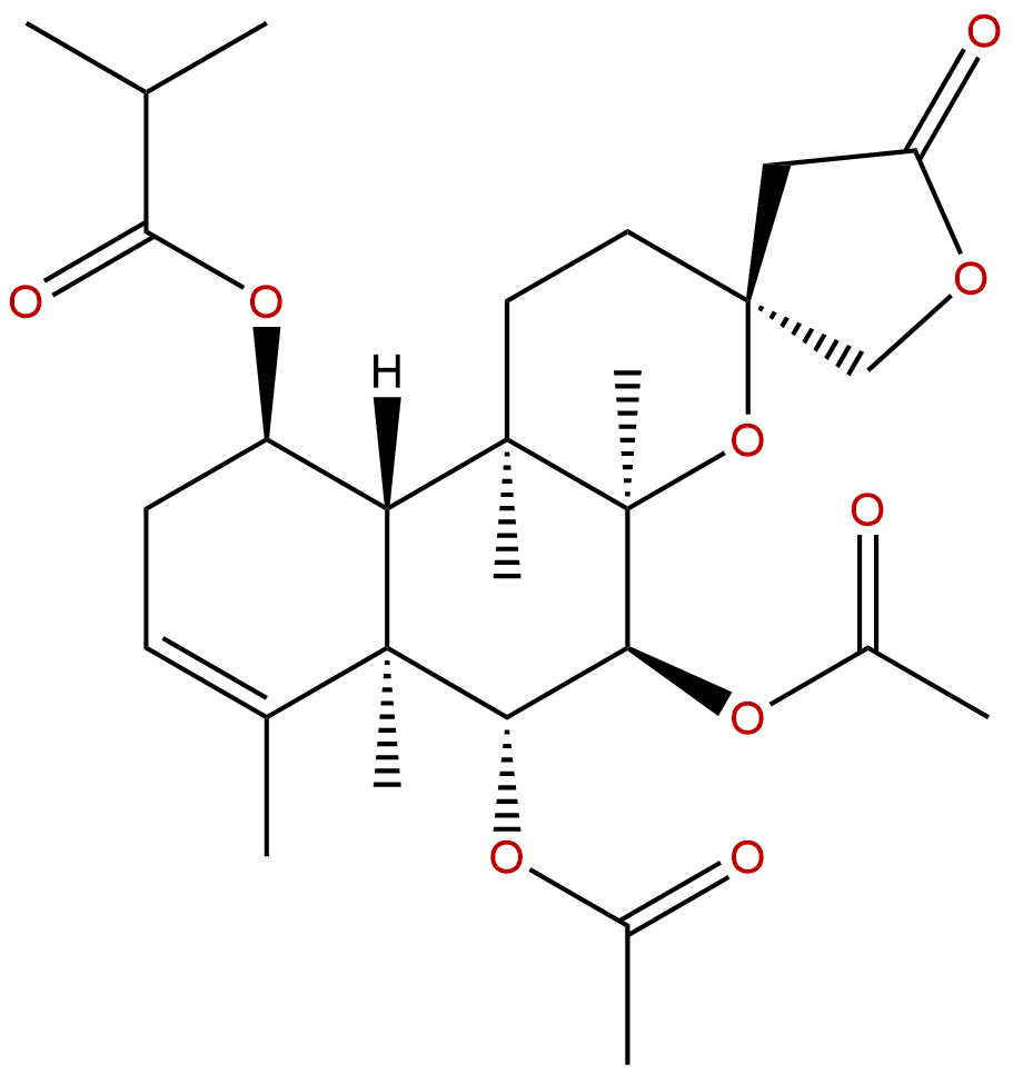 Scutebata E