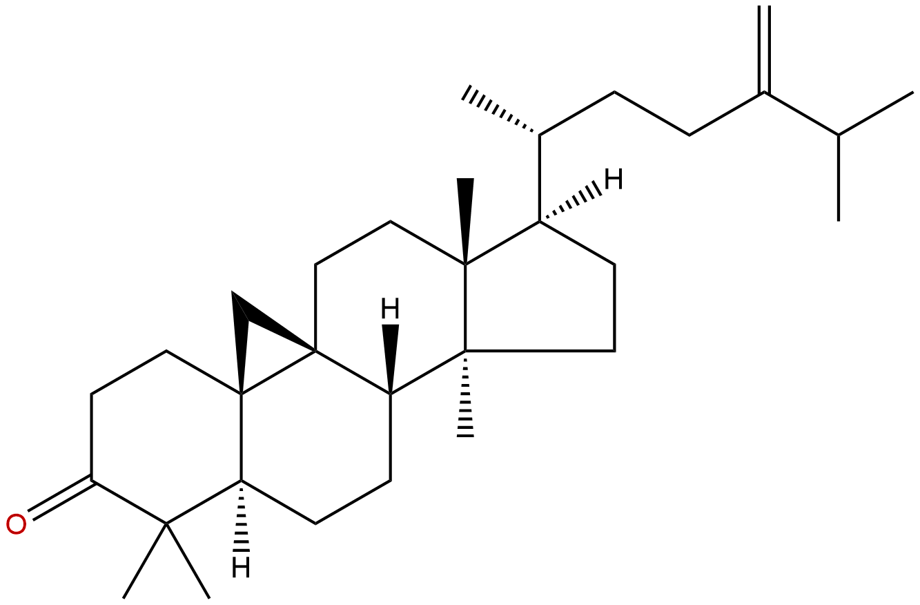 24-Methylenecycloartanone