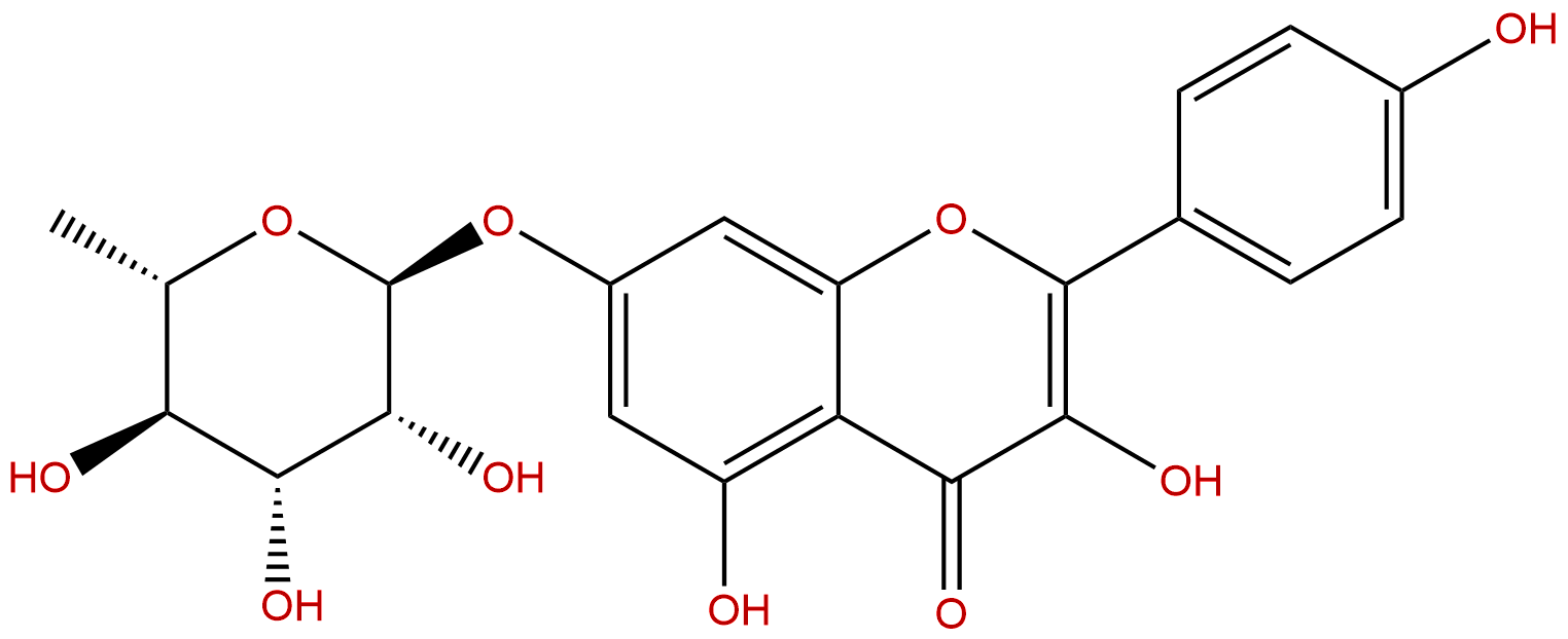 Kaempferol 7-O-rhamnoside