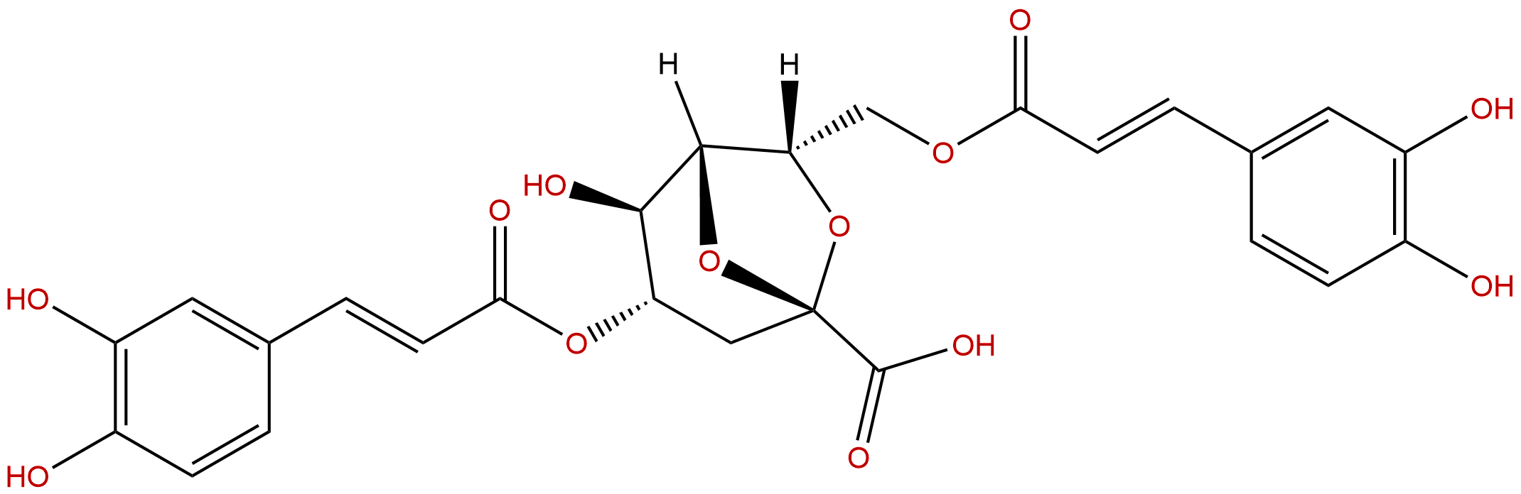 Erigoster B