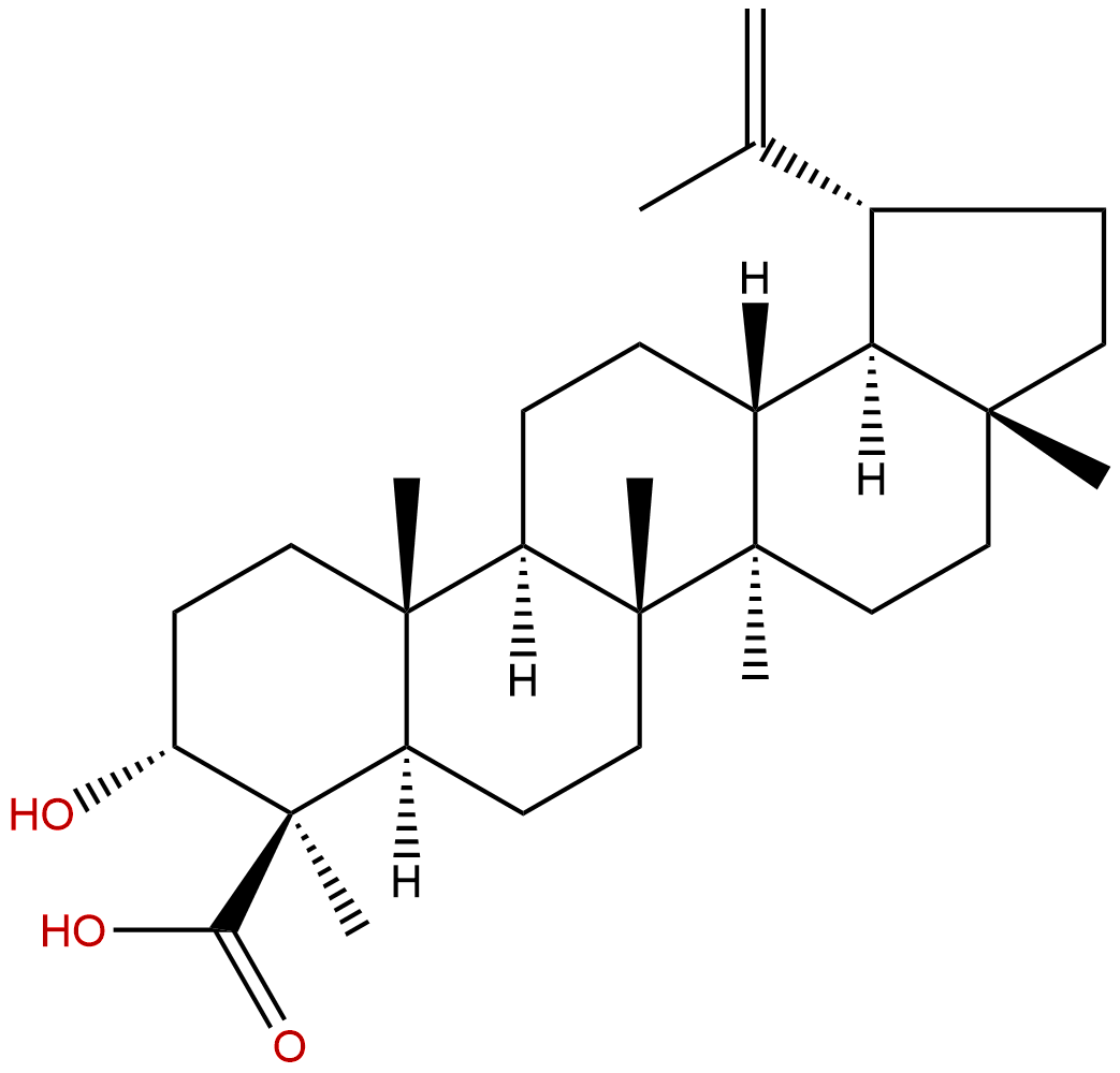 Lupeolic acid