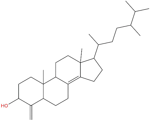 Conicasterol