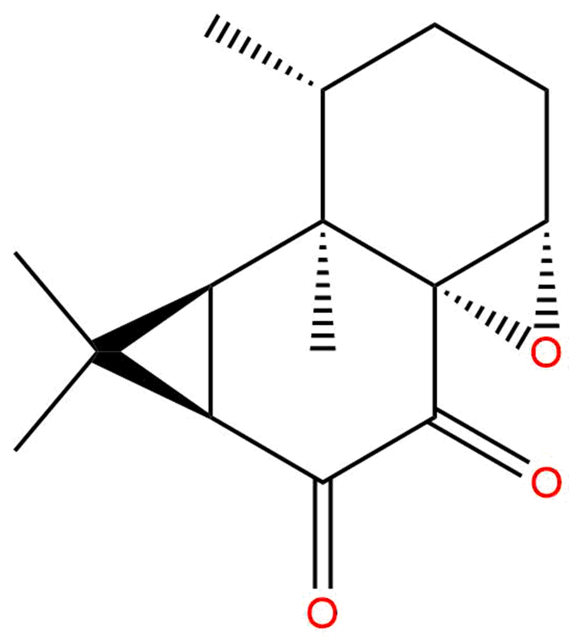 Kanshone C