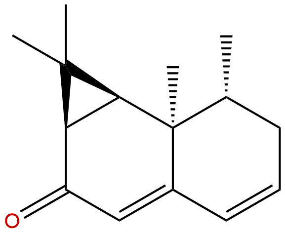 Kanshone H