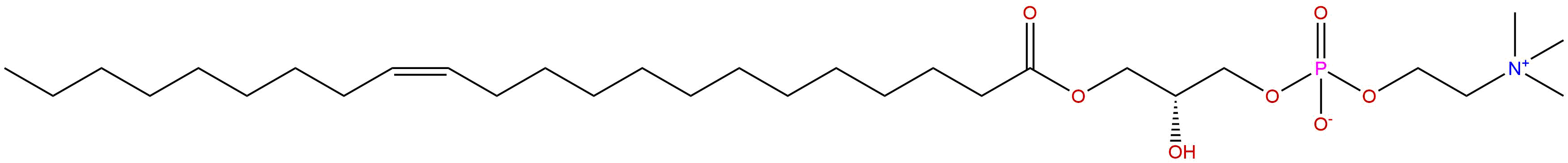 1-erucoyl-sn-glycero-3-phosphocholine