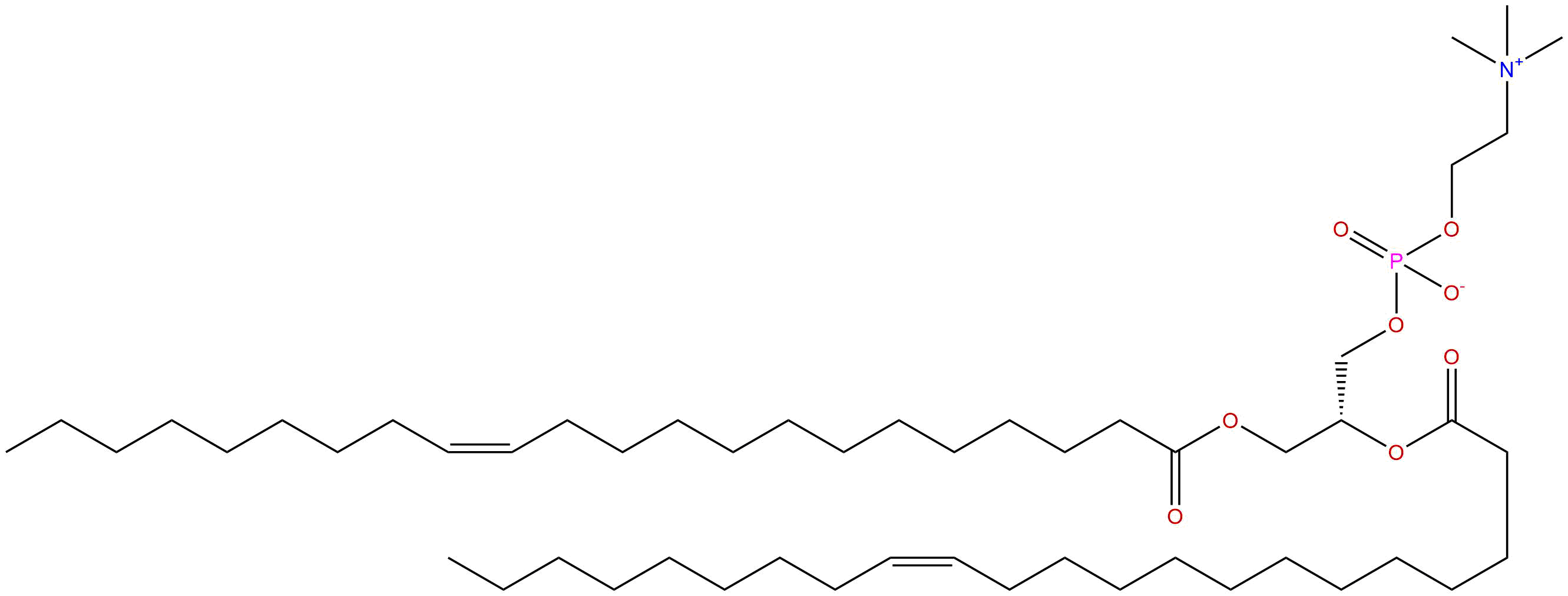 1,2-dierucoyl-sn-glycero-3-phosphocholine