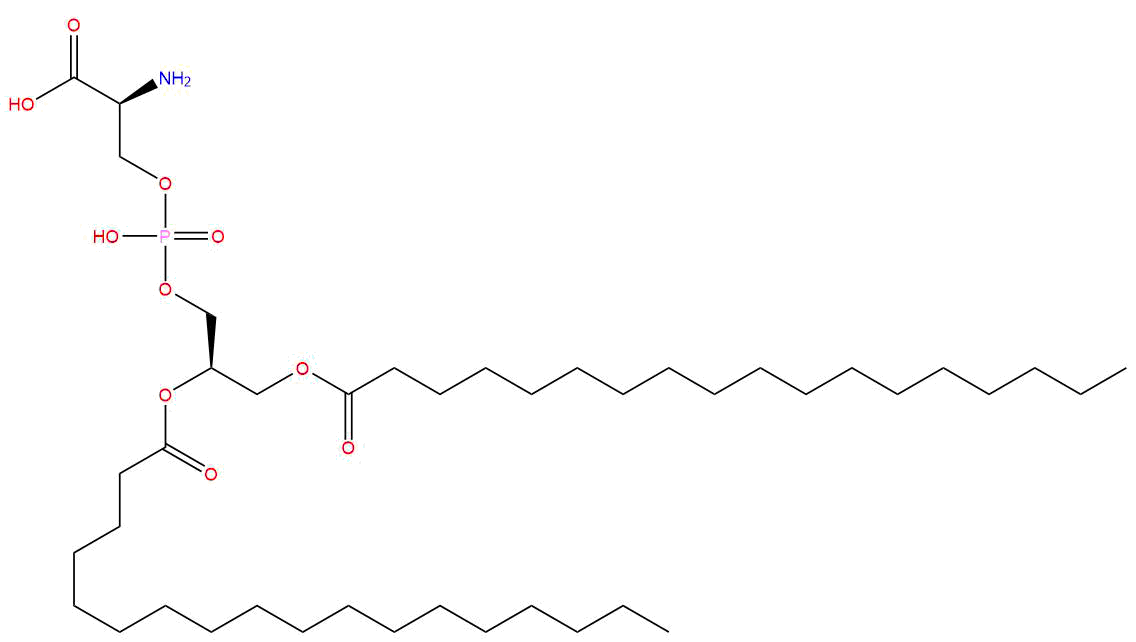 Phosphatidylserine